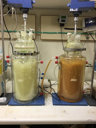 Two laboratory bioreactors used by the Perth research team to study metal recovery.