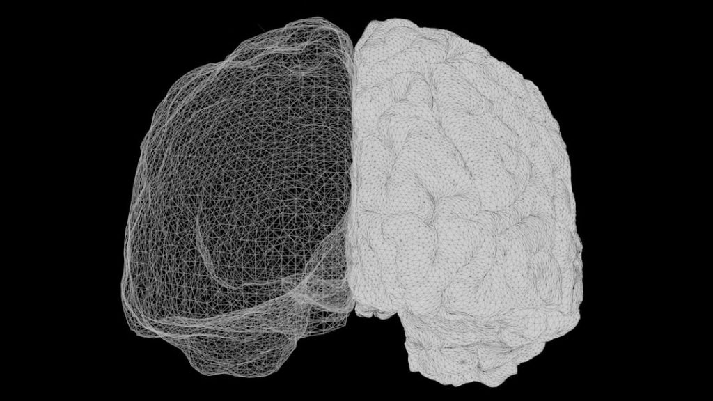 Digital illustration of the human brain against a black background