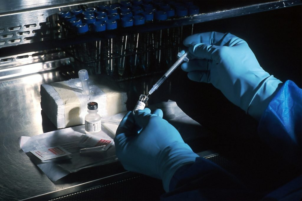 Gloved researcher handling laboratory materials under a sterile hood