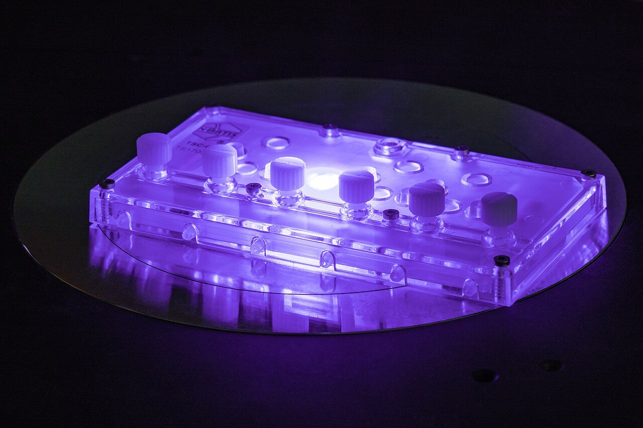 Kidney-on-a-chip device used in research on human tissue and animal testing alternatives