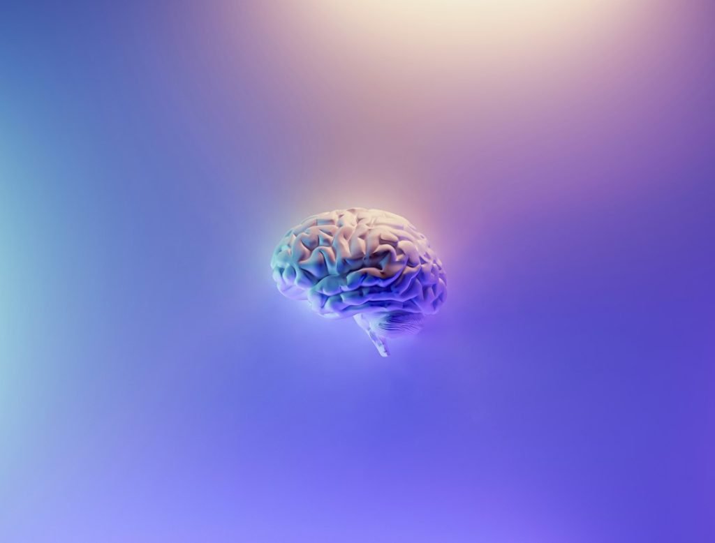 Illustration of a human brain; representative image.