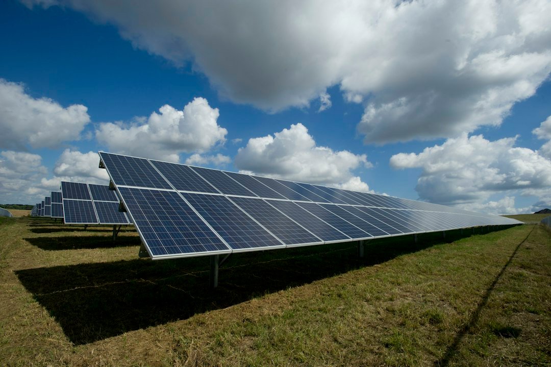 Rows of solar panels under an open sky; representative photograph.