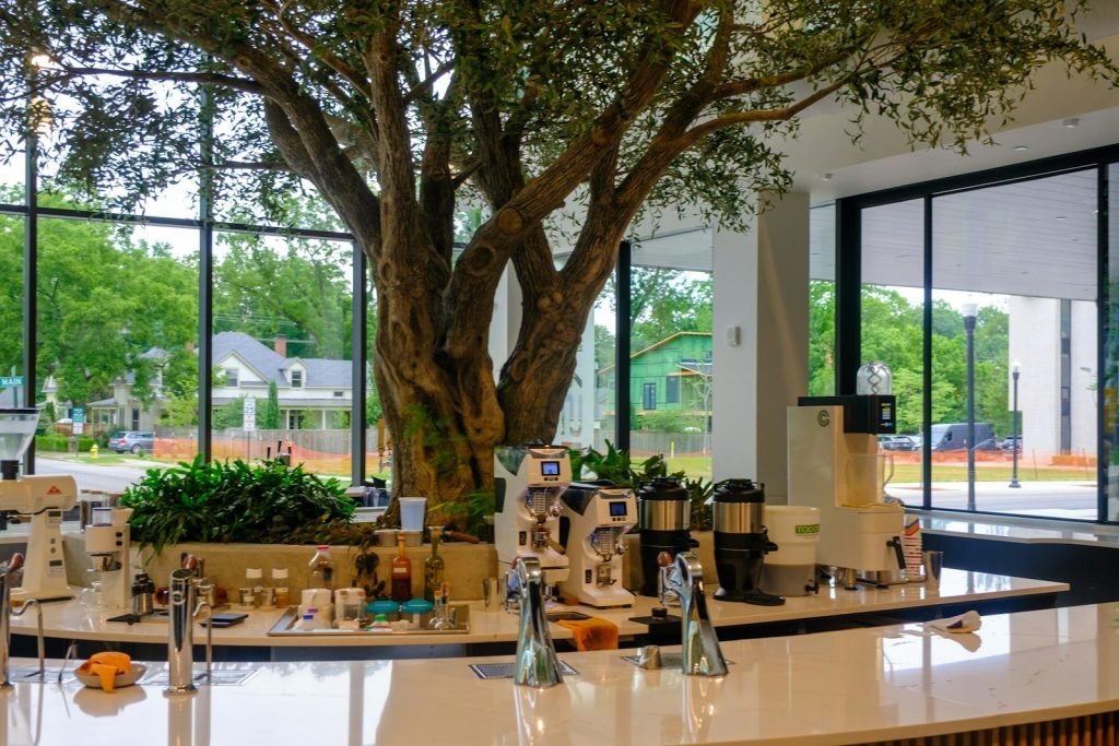 Coffee equipment beneath a tree in a bright cafe interior