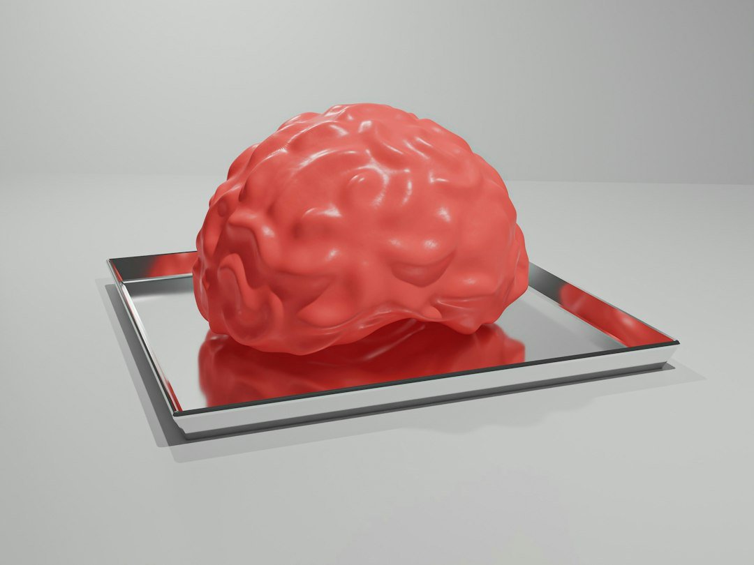 Red anatomical model of a human brain on a display tray