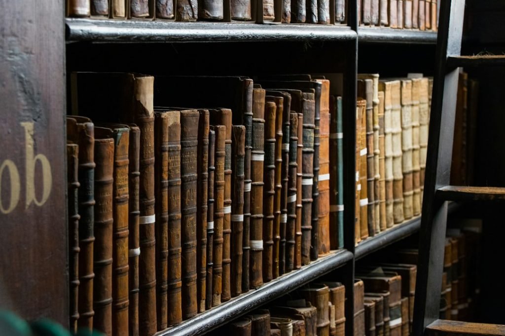 Library shelves and a ladder, illustrating the organisation of published knowledge