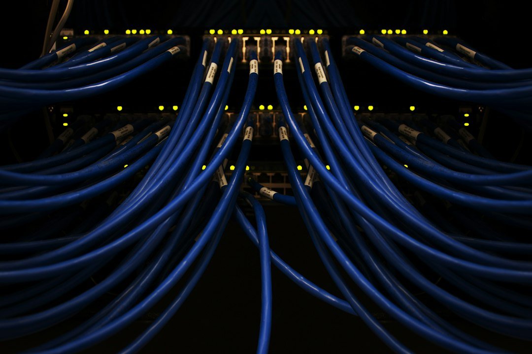 Blue network cables connected to equipment, illustrating digital infrastructure