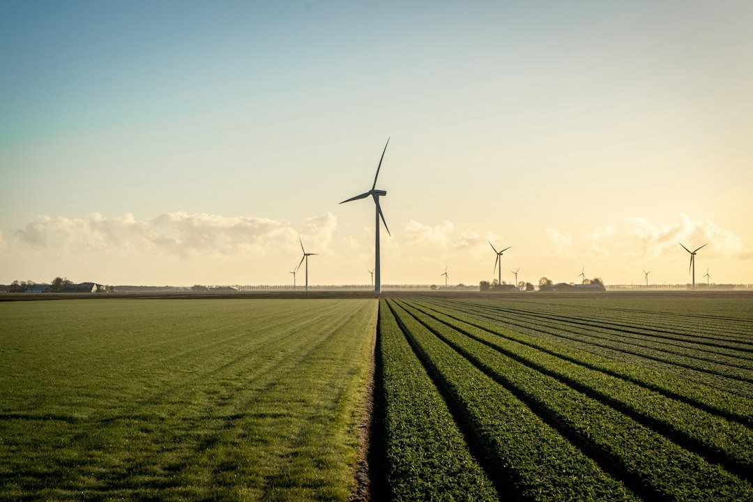 Wind turbines behind a field in the Netherlands, illustrating renewable generation
