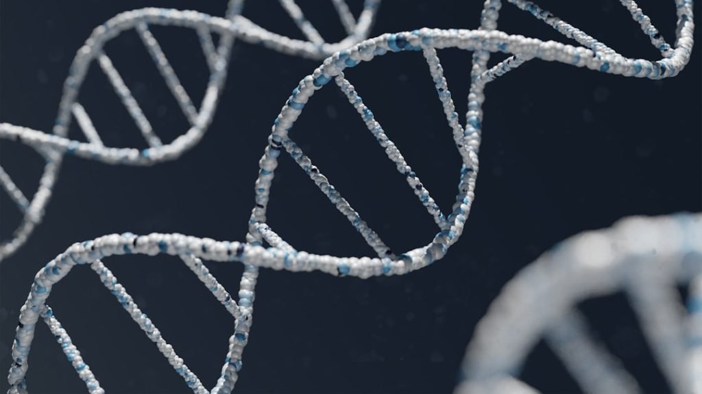 DNA double-helix illustration; conceptual image for cellular identity research.