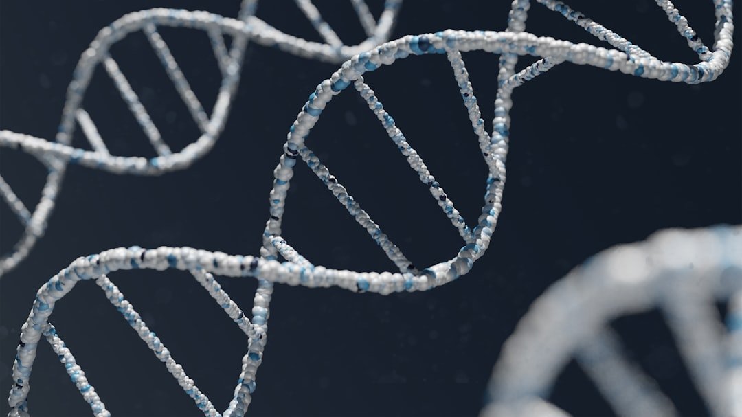 DNA double-helix illustration; conceptual image for cellular identity research.