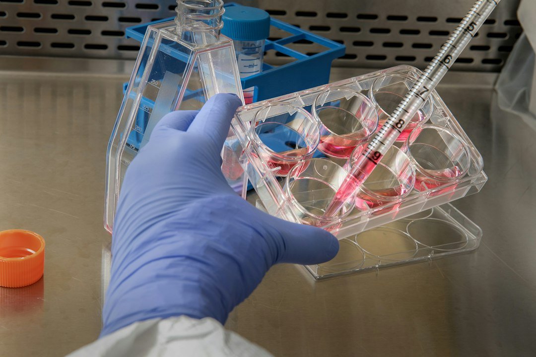Scientist working with a multiwell cell-culture plate; contextual image, not from the organoid study.
